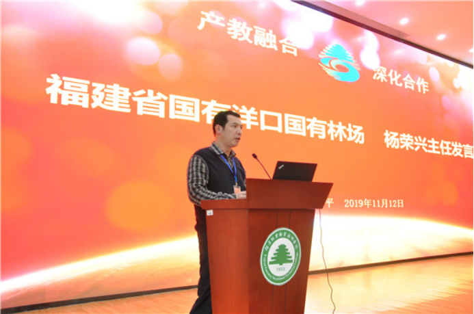 2025年新澳门原料免费