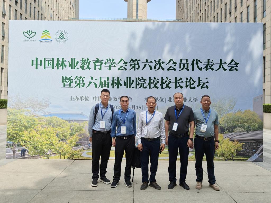 2025年新澳门原料免费 2025年新澳门原料免费