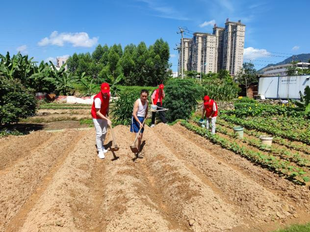 2025年新澳门原料免费 2025年新澳门原料免费