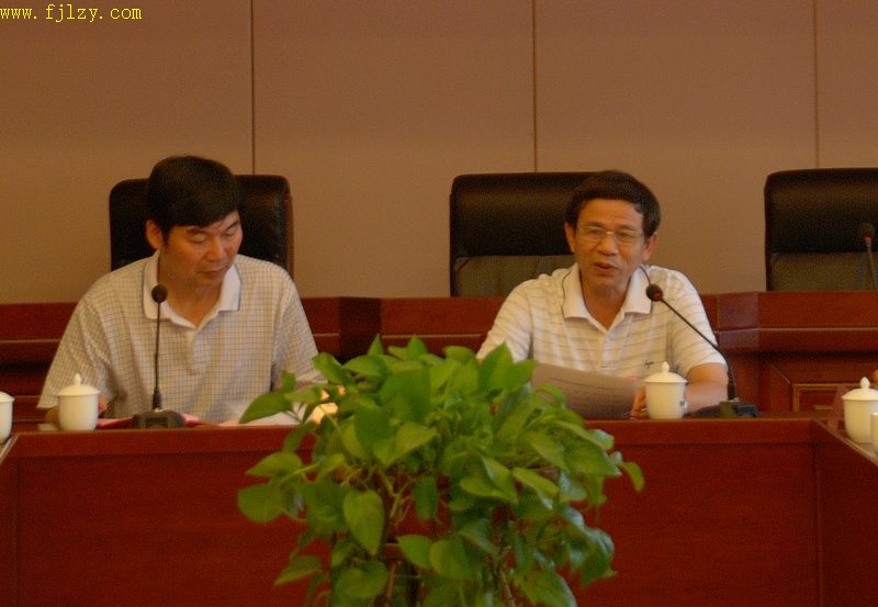 2025年新澳门原料免费