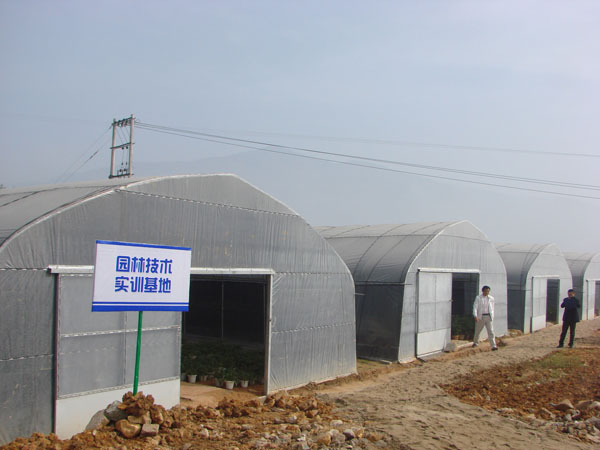 2025年新澳门原料免费