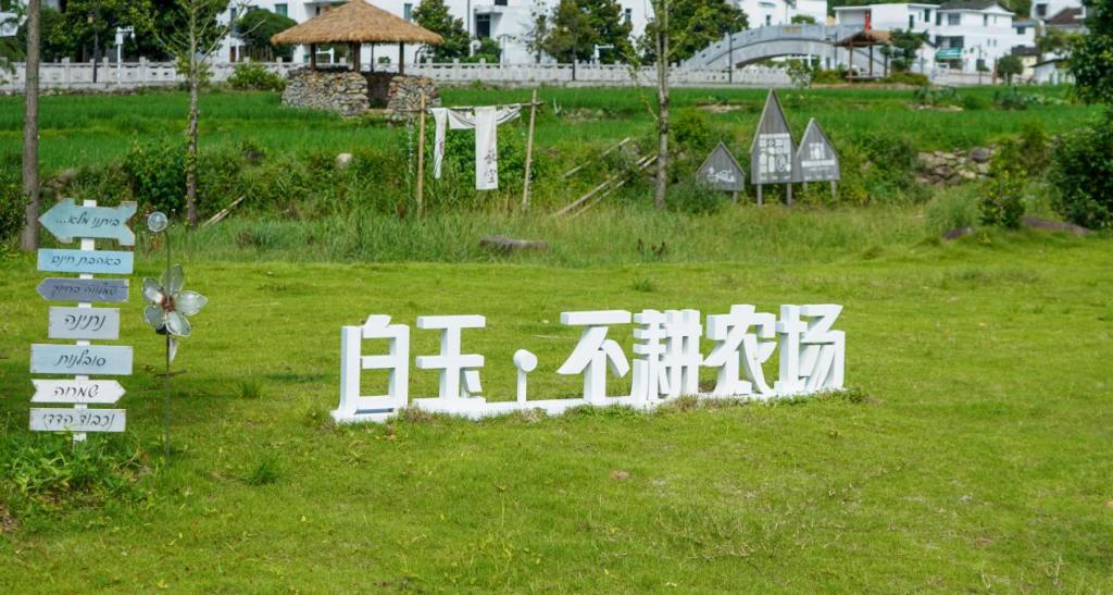 2025年新澳门原料免费