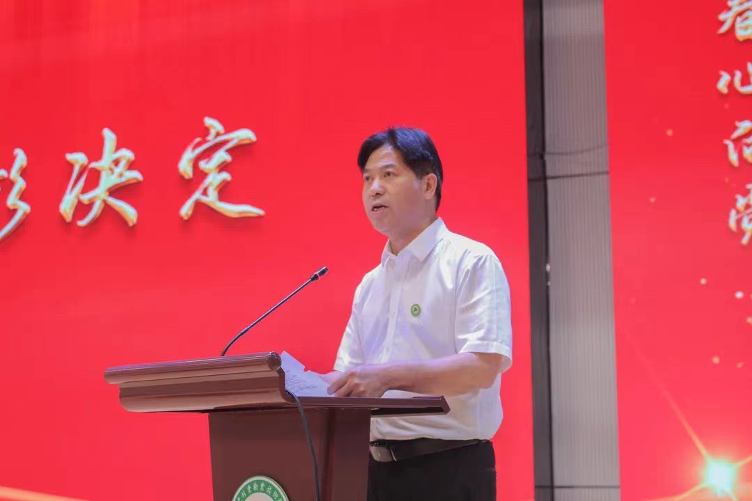 2025年新澳门原料免费