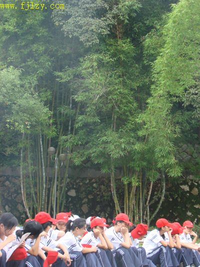 2025年新澳门原料免费