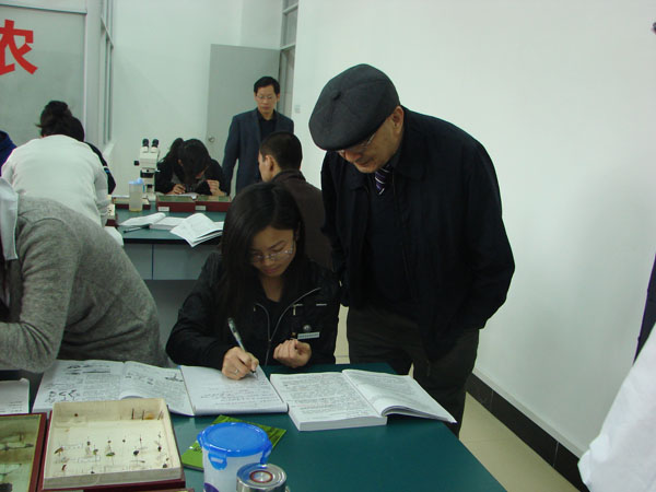 2025年新澳门原料免费