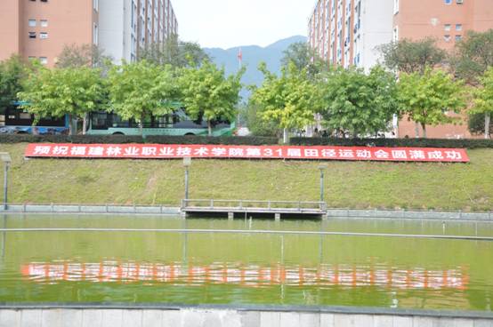 2025年新澳门原料免费