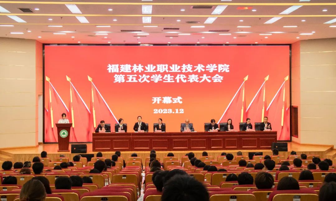 2025年新澳门原料免费