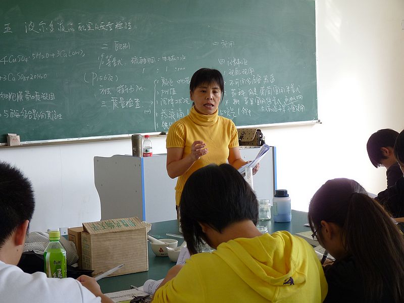 2025年新澳门原料免费