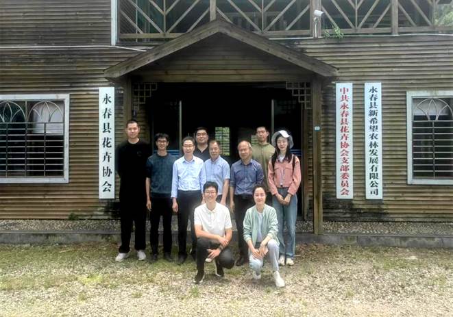 2025年新澳门原料免费