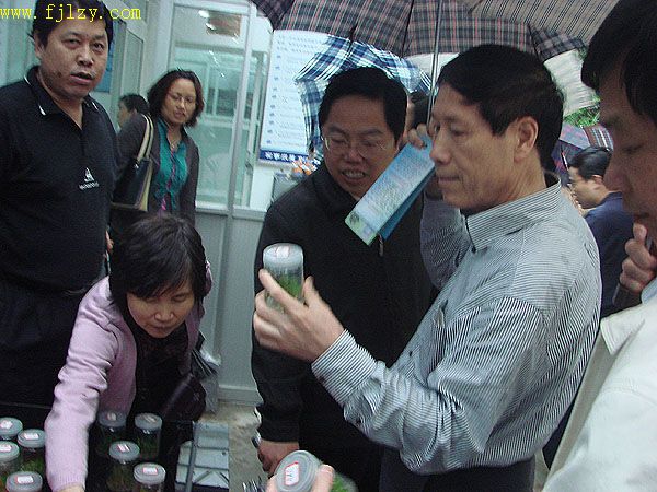 2025年新澳门原料免费