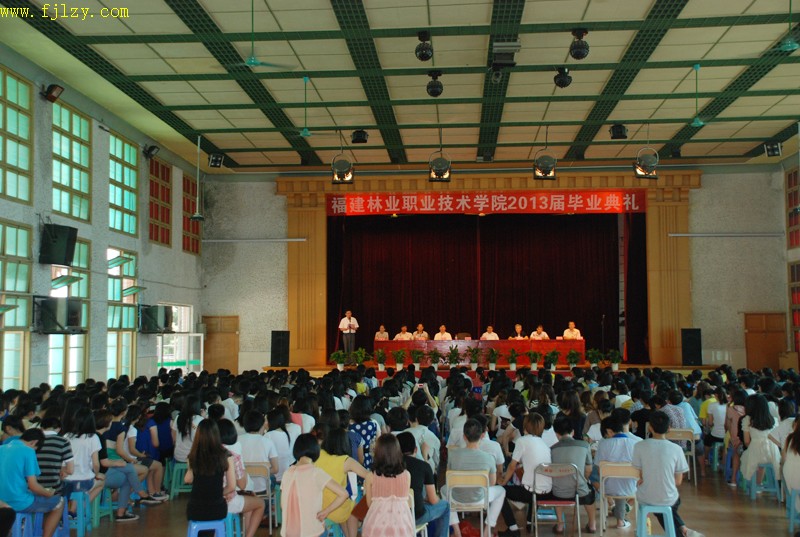 2025年新澳门原料免费