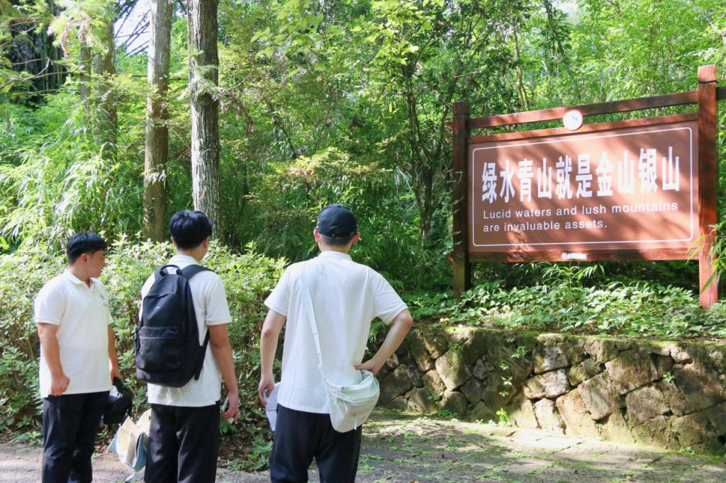 2025年新澳门原料免费