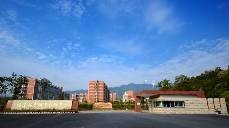 2025年新澳门原料免费