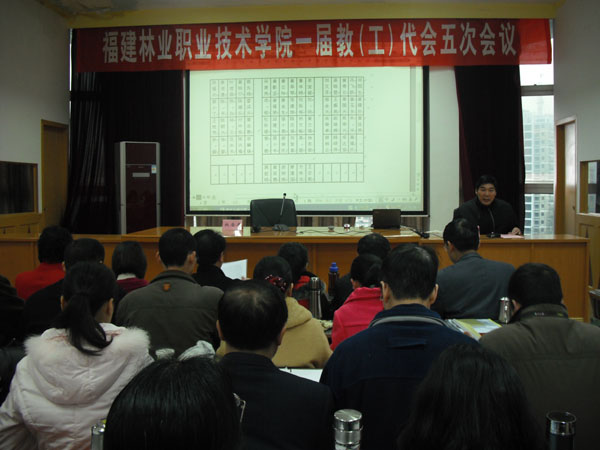 2025年新澳门原料免费