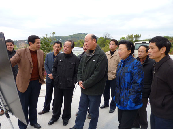 2025年新澳门原料免费