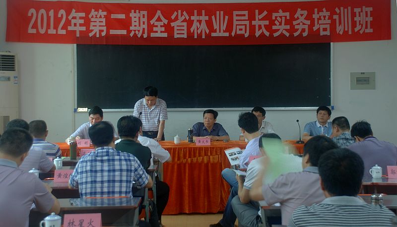 2025年新澳门原料免费