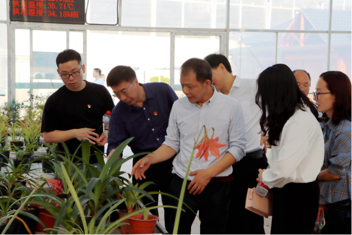 2025年新澳门原料免费