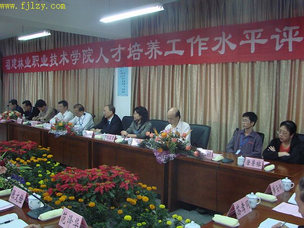 2025年新澳门原料免费