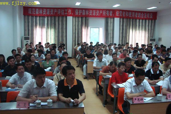 2025年新澳门原料免费