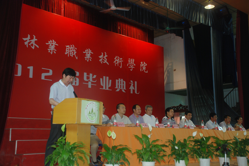 2025年新澳门原料免费