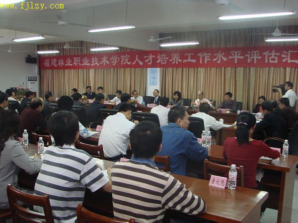2025年新澳门原料免费