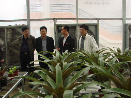 2025年新澳门原料免费