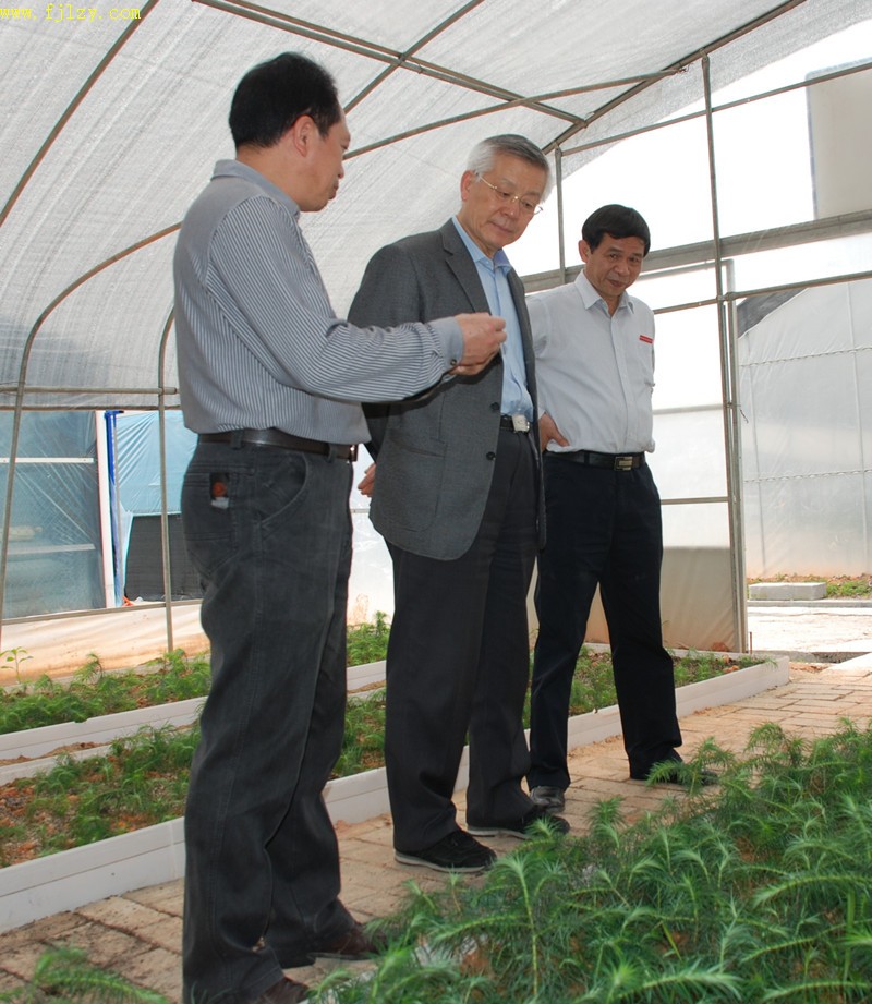 2025年新澳门原料免费