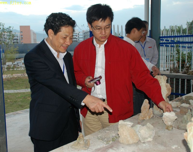 2025年新澳门原料免费
