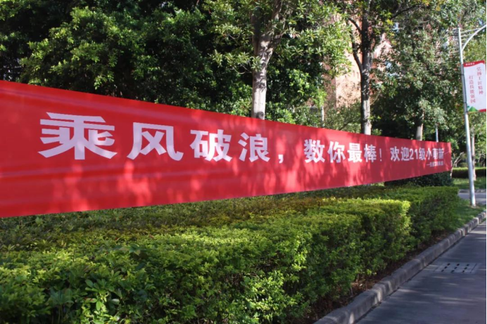 2025年新澳门原料免费