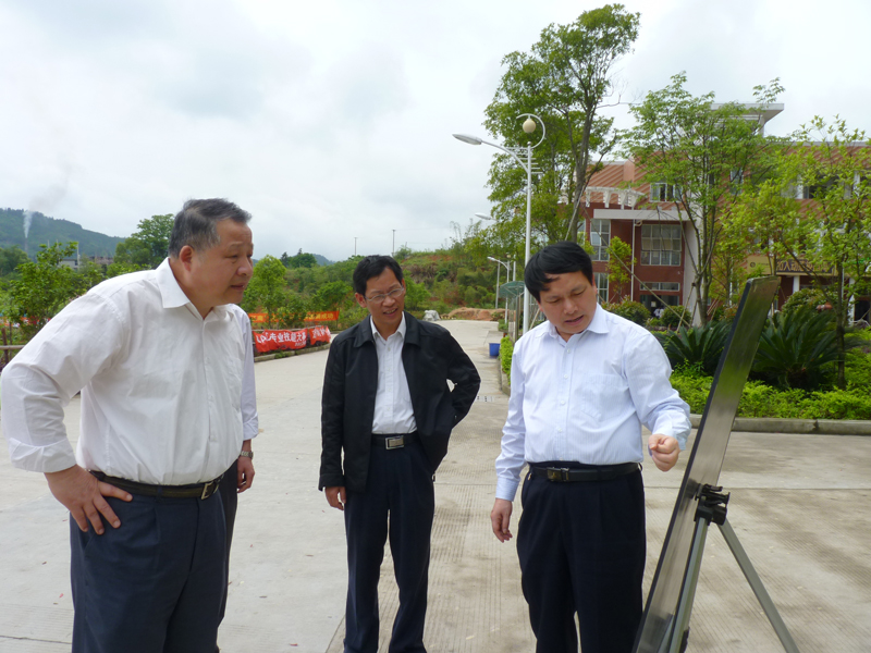 2025年新澳门原料免费