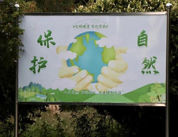 2025年新澳门原料免费