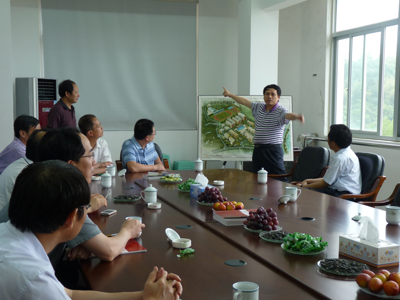 2025年新澳门原料免费