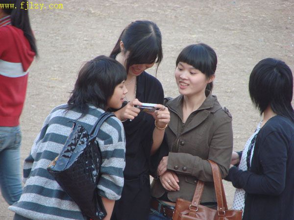 2025年新澳门原料免费