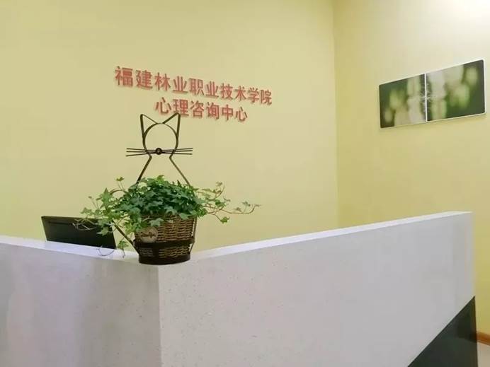 2025年新澳门原料免费