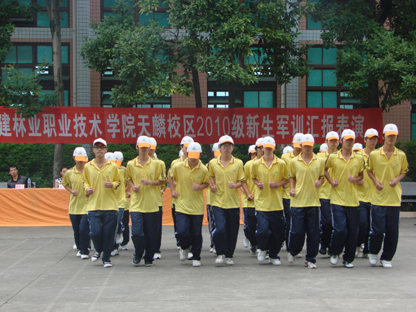 2025年新澳门原料免费