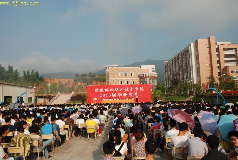 2025年新澳门原料免费