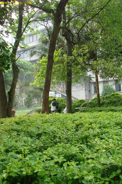2025年新澳门原料免费