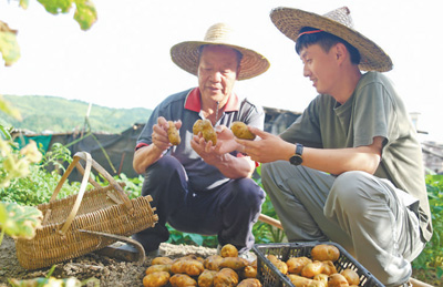 2025年新澳门原料免费 2025年新澳门原料免费