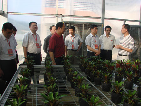 2025年新澳门原料免费