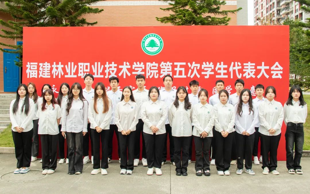 2025年新澳门原料免费