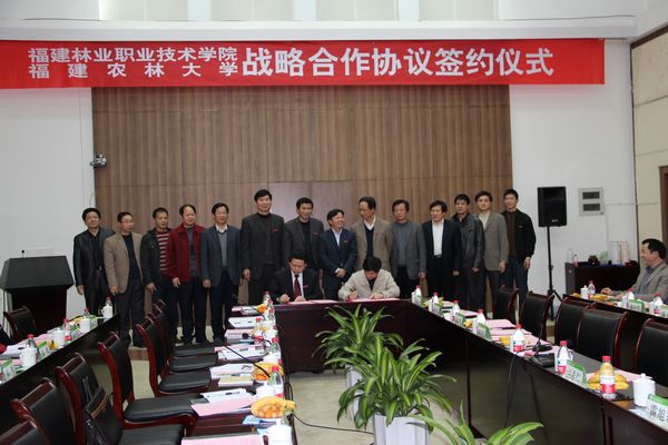 2025年新澳门原料免费