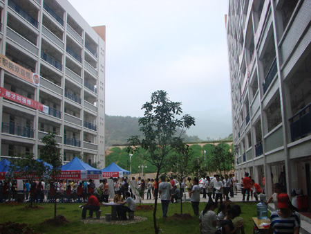 2025年新澳门原料免费