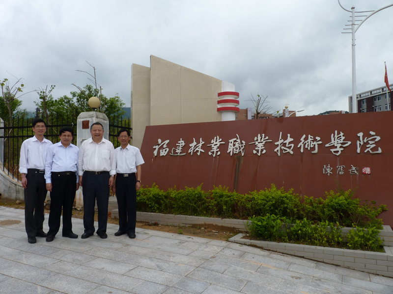 2025年新澳门原料免费