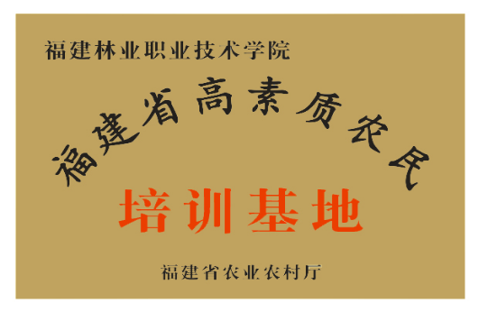 2025年新澳门原料免费