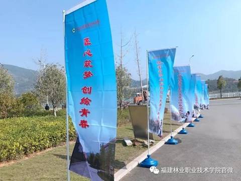 2025年新澳门原料免费