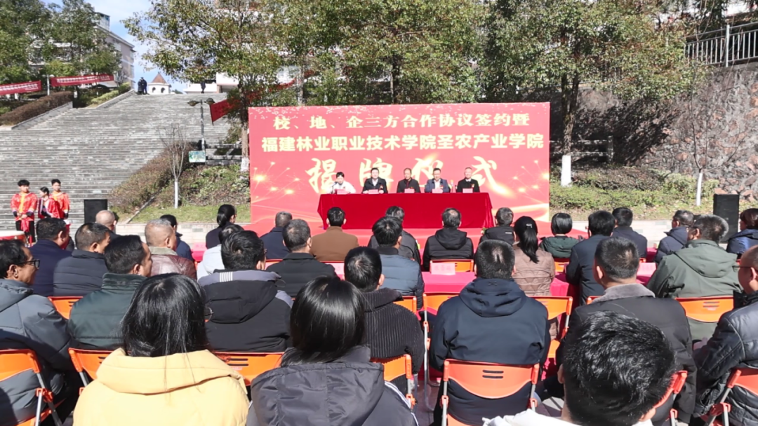 2025年新澳门原料免费