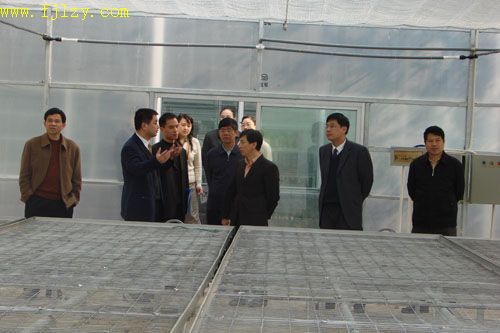 2025年新澳门原料免费
