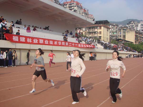 2025年新澳门原料免费