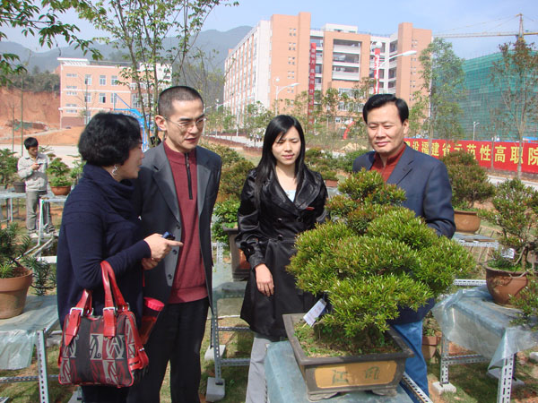 2025年新澳门原料免费