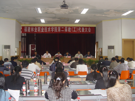 2025年新澳门原料免费